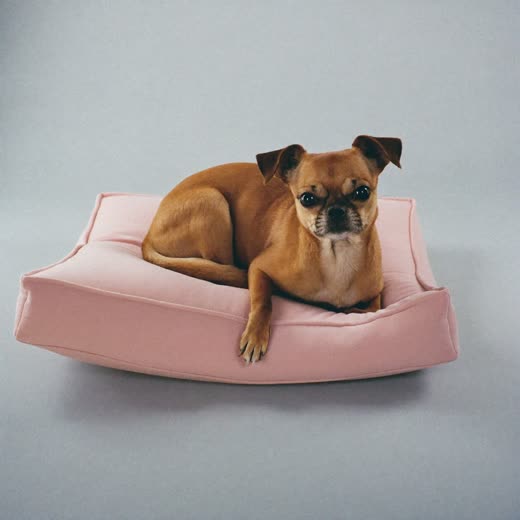 A soft folded pet bed cushion