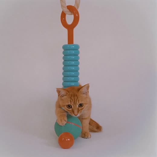 A rope tug toy and a rubber ball